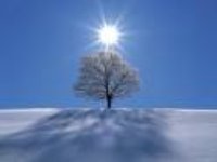 snow snow