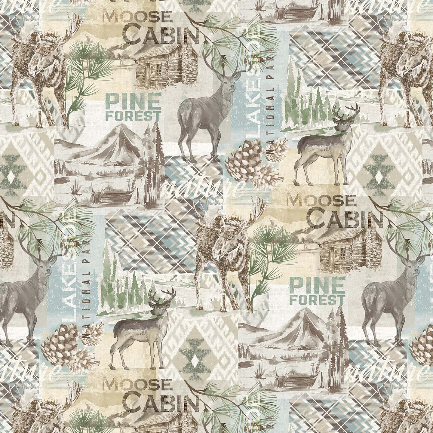 BACKWOODSbucksANDbulls