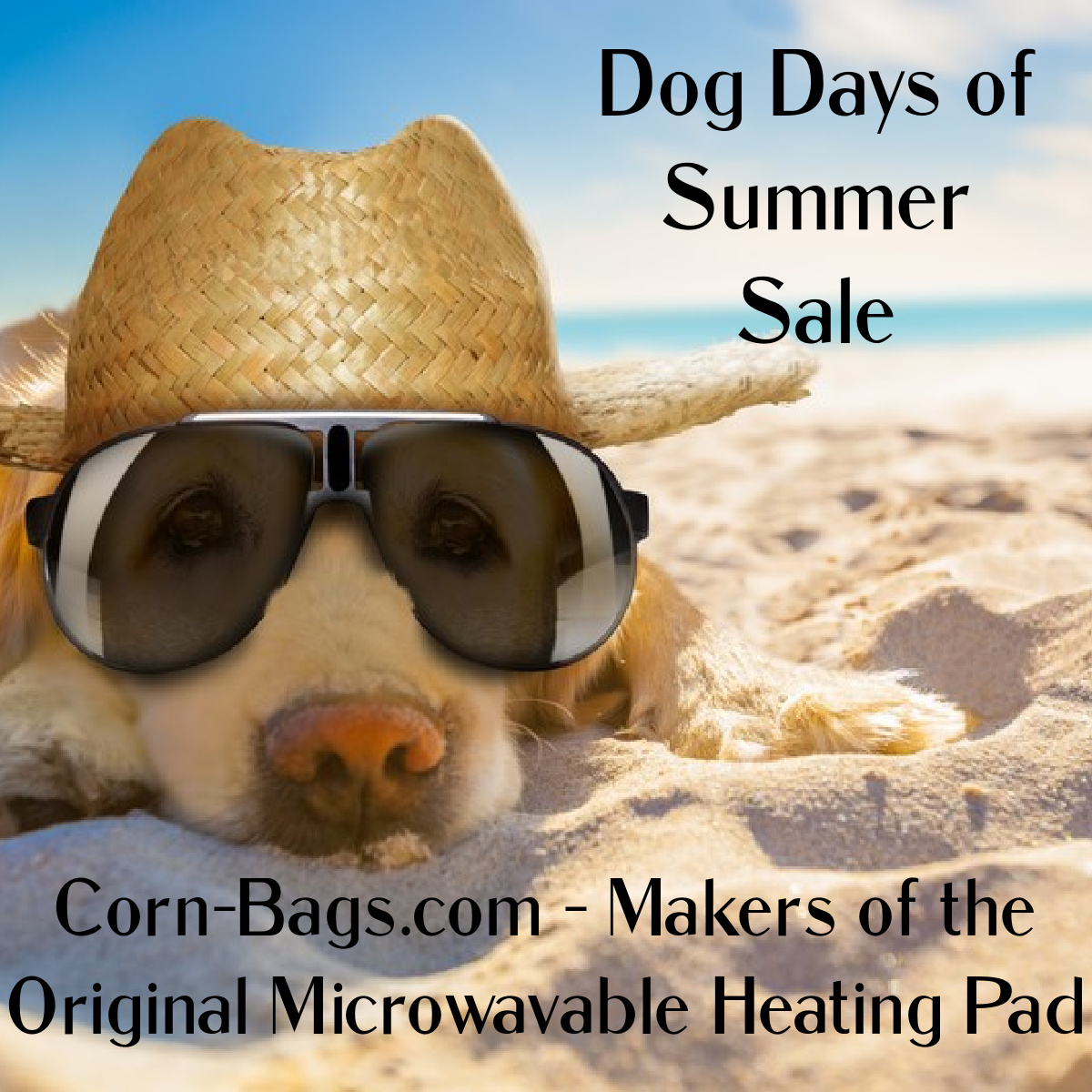 dog-days-of-summer
