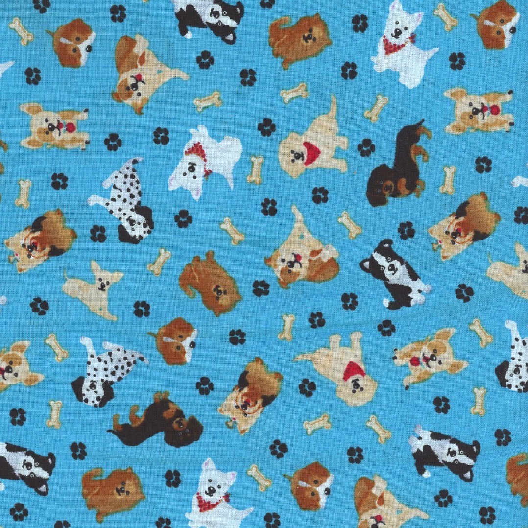 dogsONblue