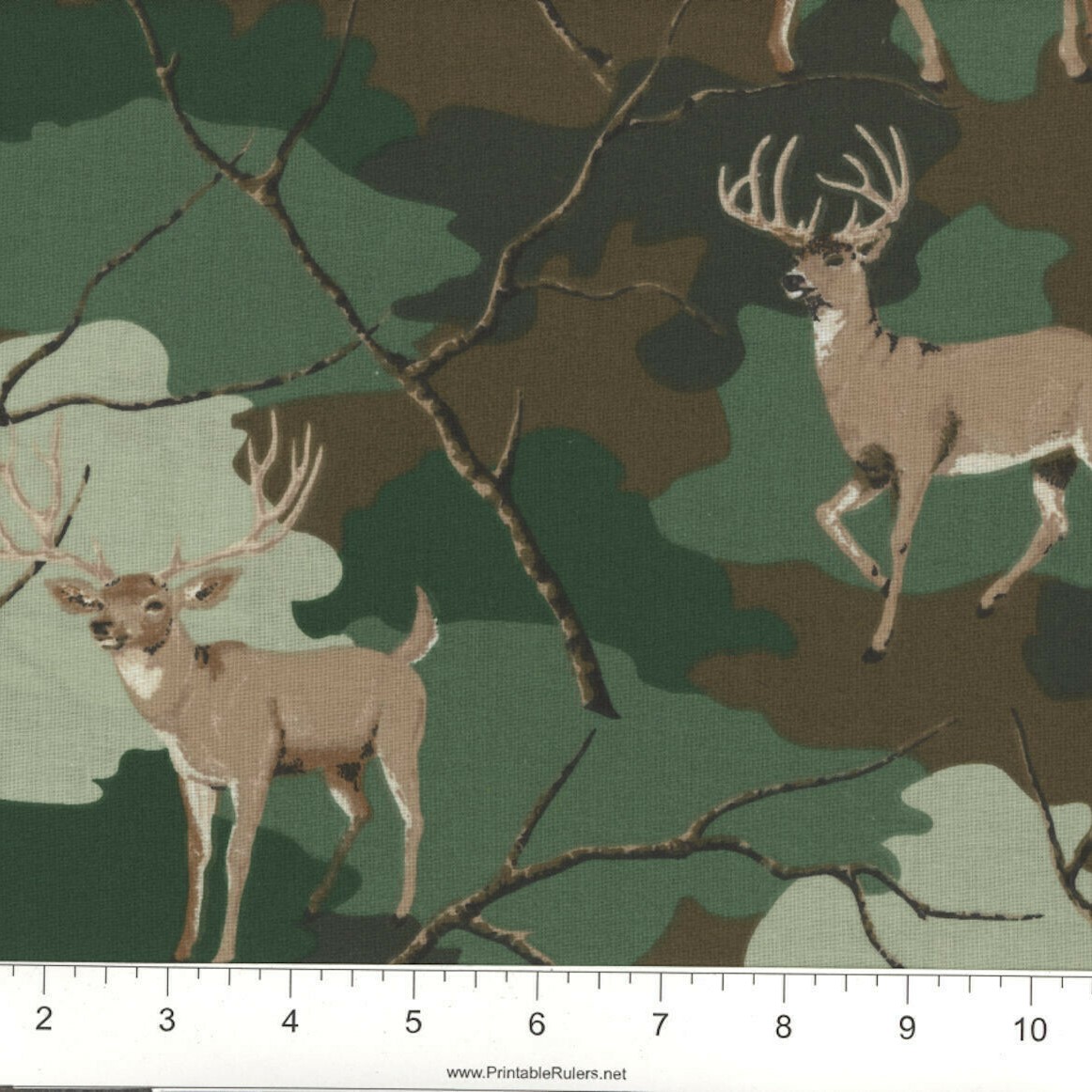 CAMODEER1000