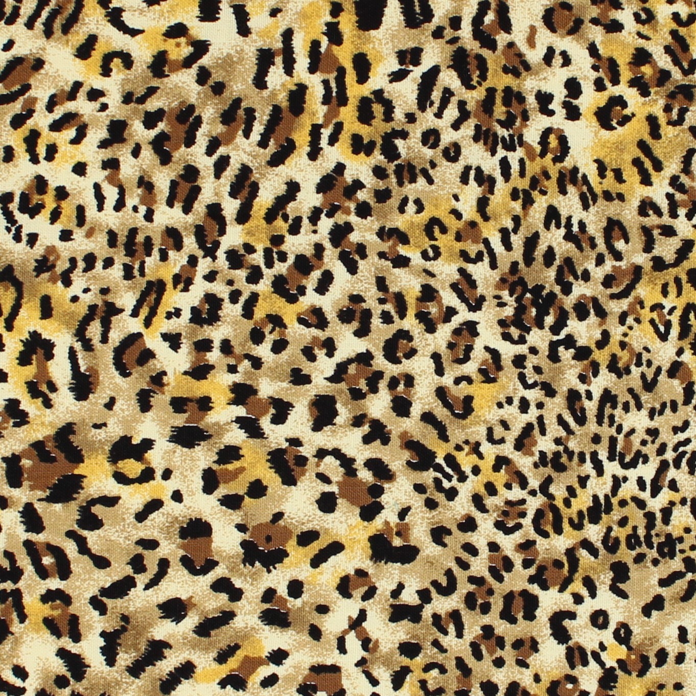 leopardBIG